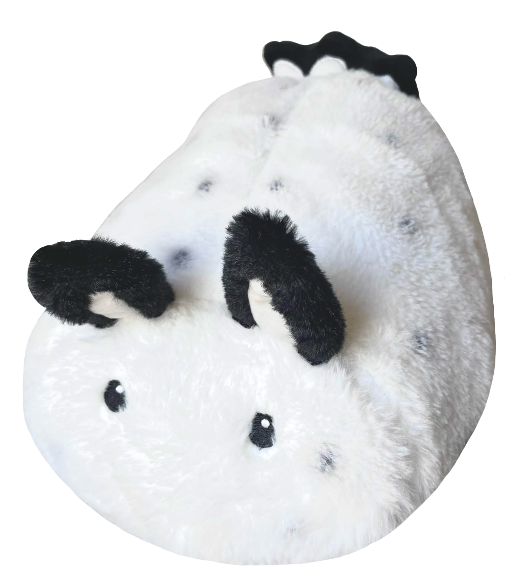 Shaking Image